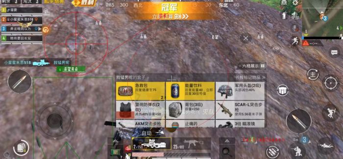 和平精英辅助跟随有什么用（和平精英辅助器有什么用）